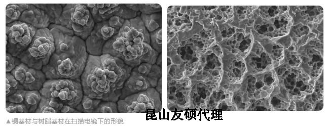 济源蔡司济源扫描电镜